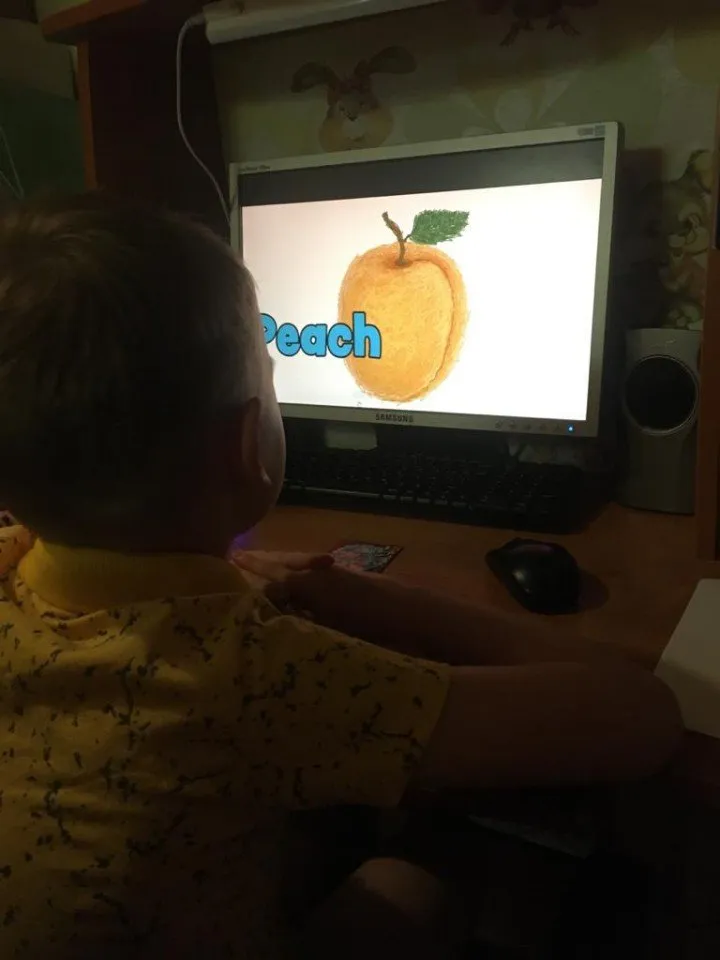 Фрукты. Шамонин Арсений 2020-06-07 at 08.12.31