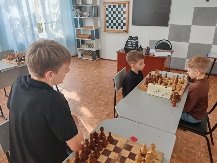 Шахматы 5