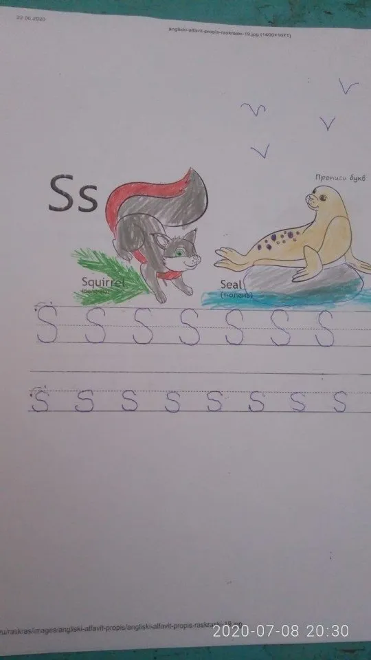 Буква S_Городицкая Ника  2020-07-08 at 20.41.39