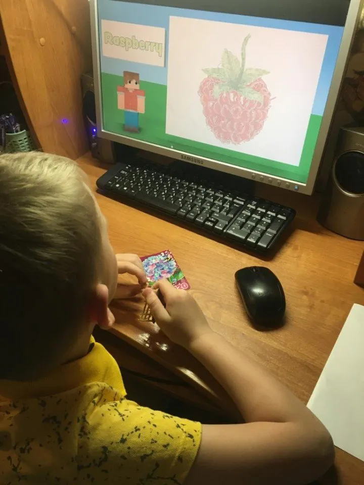 Ягоды_Шамонин Арсений  2020-06-07 at 08.12.31