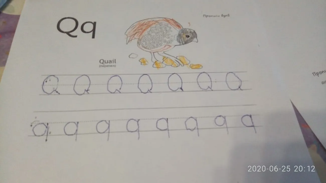 Прописи. Городицкая Ника 2020-06-25 at 20.13.49