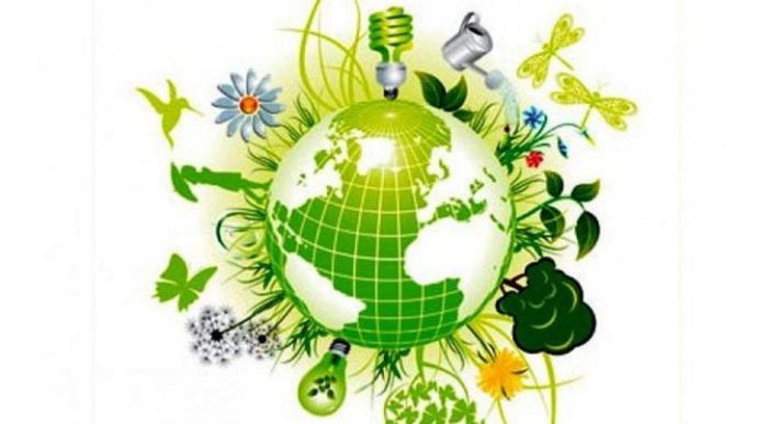 Картинка-эмблема Открытой онлайн-викторины «Биоразнообразие жизни во всех ее проявлениях», посвященной  Международному дню биологического разнообразия.